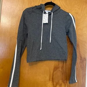 Streetwear Society Cropped Active Hoodie Gray  LG